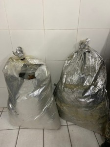 Titulo