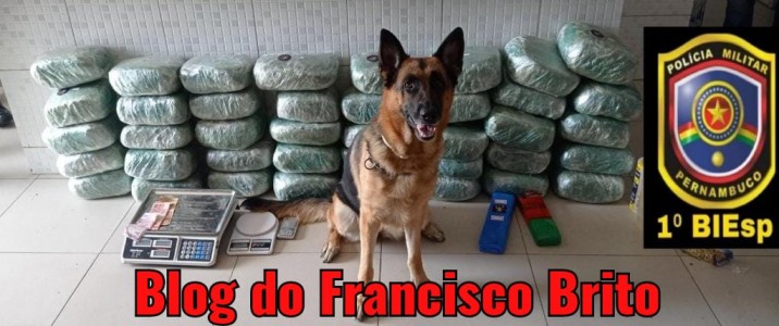 Titulo