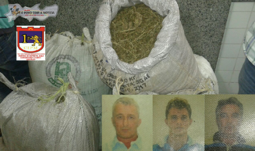 Titulo
