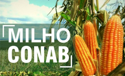 Titulo