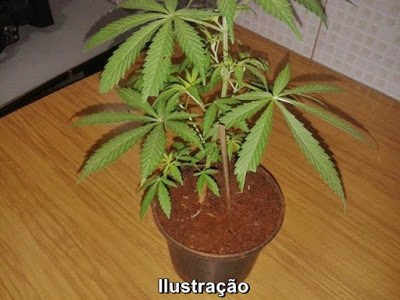 Titulo