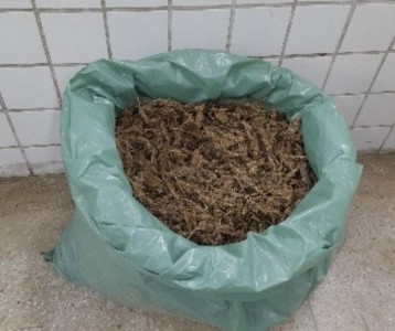 Titulo