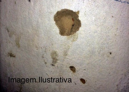Titulo