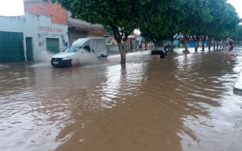 Titulo