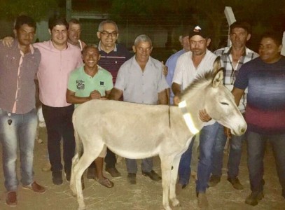Titulo