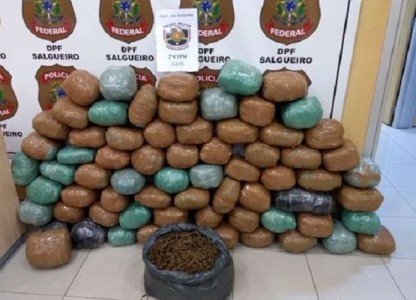 Titulo