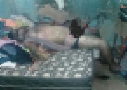 Titulo