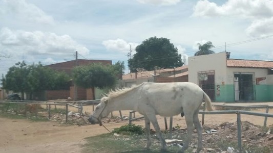 Titulo
