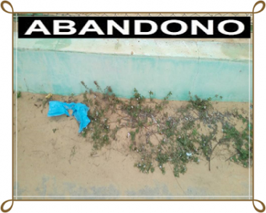 Titulo