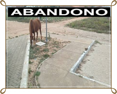 Titulo
