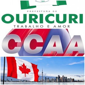 Titulo