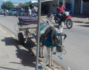 Titulo
