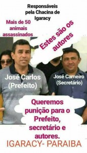 Titulo