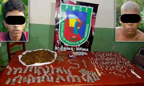 Titulo