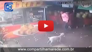 Homem tenta chutar um cão inocente e se deu mal!