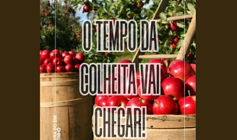 Palavra do dia – A Paciência no Processo!