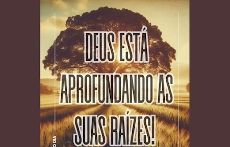 Palavra do dia – Raízes profundas!
