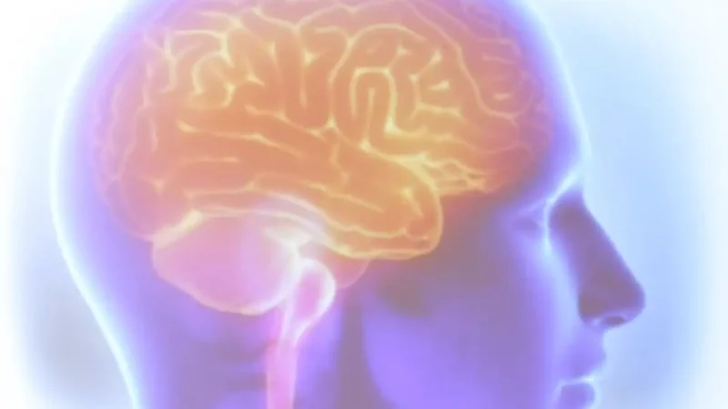 AVC mata uma pessoa a cada seis minutos no Brasil