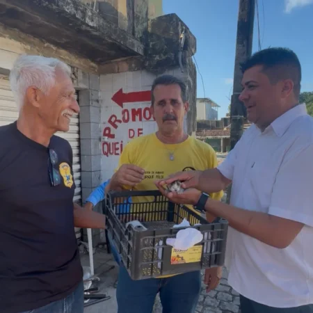 Em Camaragibe, ação inédita da Prefeitura e do vereador Ricardo Pedrosa resgata gatos após demolição do antigo Mercado Público