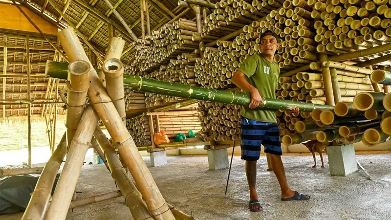 Os edifícios de bambu que resistem a terremotos