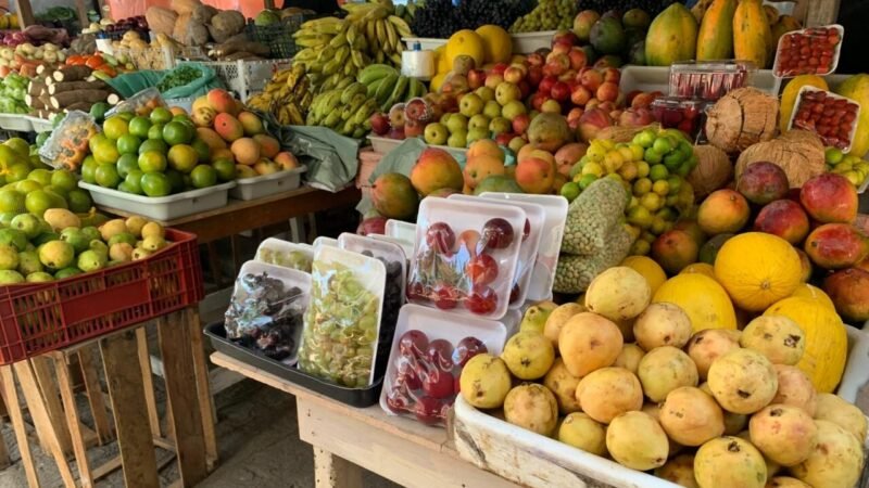 Feirantes de ST comentam sobre preços e variedades das frutas de verão