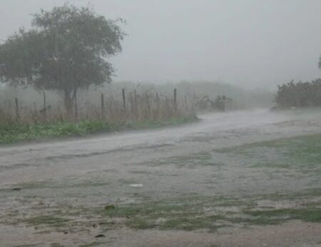 Choveu forte em municípios da região de ‘seca extrema’ no Sertão de PE