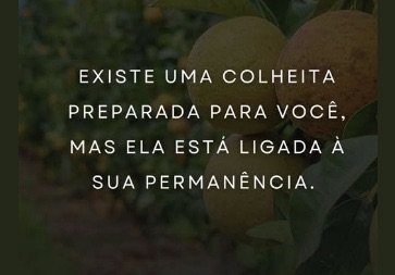 Palavra do dia – Não Pare Agora!