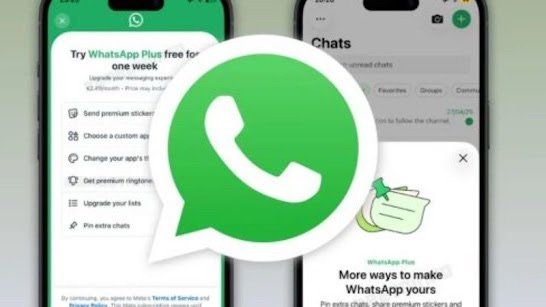 WhatsApp começará a cobrar mensalidade no Brasil; saiba o preço e o que muda